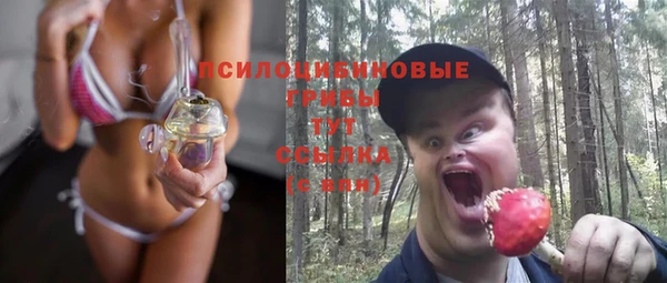 стафф Алексеевка