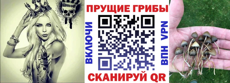 дарк нет клад Дудинка Галлюциногенные грибы ЛСД